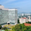 세종대학교 행정대학원 이미지