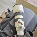 [사용기] RX100m6 구입기 및 후기