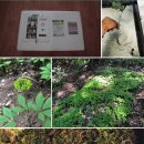 올바른농원