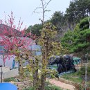 정선영농장 이미지