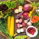 달우물농장 이미지