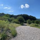 영월 | 왕과 사는 남자 보고 다녀온 영월 청령포 후기