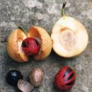 경희무교로한의원 이미지