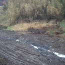 서짓골(2013년) 이미지