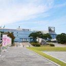 주정차단속-38 이미지