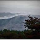 구봉산전망대 이미지