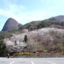 신서가축인공수정소 | 마이산(馬耳山) 진안