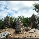 동강장식