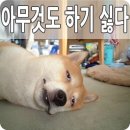 🔸️＜必讀＞백수와 방콕 이미지