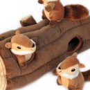 다람쥐몰 이미지