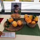 백선기 농장 이미지