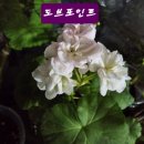 유니베라광명소하대리점