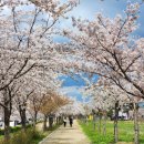 씨유강릉경포해변점 | 강릉 오션뷰 숙소 해변을담다 경포 감성 독채 펜션 후기