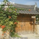 전주) 반려동물 동반 장소 소개 15편