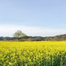 남평읍복지회관 이미지