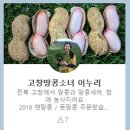 고창 이엠 이미지