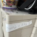 세아농장 | 25년 11월 첫째주 서울로 간 시골쥐