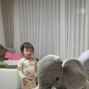 장군약국 이미지