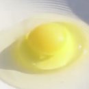 행복양계장 이미지