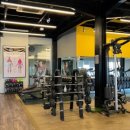 Balance Gym 이미지