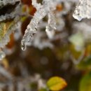 사회복지사 1급 이론 - 사회복지조사론 이미지