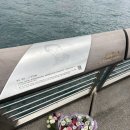 [홍콩 여행] 춘절 때 떠난 홍콩 자유여행 :: 마카오 레스토랑 (춘자 또간집), 미슐랭 청흥키 딤섬, 스타...