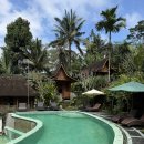 정글브로 | 발리 우붓 정글 숙소 Song broek jungle resort (수영장, 조식, 마사지)