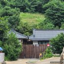 효동1리 | [25.06] 경주 촌캉스 : 지극히 개인적인 별장 (지개별)