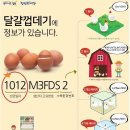 에그플 이미지