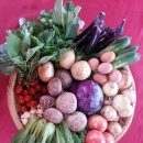 아홉색깔농부협동조합 이미지