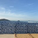 주식회사 천도 | 피부결이 달라지는 마법! 영종도에서 만난 800m 지하 암반수의 기적, 조탕 탐방기