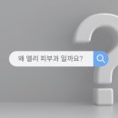 엘리피부과의원 이미지