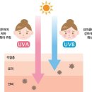 이분의일안경 이미지