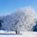 행복한일상 이미지