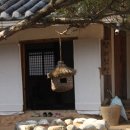 늘푸른꽃농원 - 고양시 일산동구 식사로 26 | 늘푸른꽃농원
