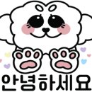 개스트펫살롱 이미지