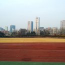 강남-285 Daum카페