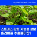 홀리허브 이미지