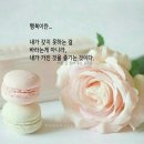 마인드7 이미지