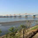 저자도(楮子島)