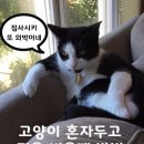 두고집 이미지