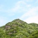 대아수목원 이미지