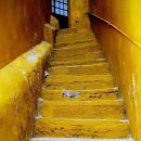 너랑노랑 이미지