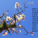 🎈‘휴대전화 아버지’의 예언 “다음 세대는 귀밑에 심은 폰 가질 것”🎈 이미지