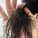 주식회사 닥터이오 | 식물성 폴리페놀 트리트먼트 닥터오레고닌 두피까지 케어한 후기