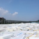 국무조정실건너편 이미지