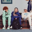 널디 - 33875 | 널디