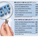 올해 뜬 ETF…비만치료·반도체·기후테크 이미지