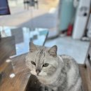 마포구청미용실 원장님 마인드 최고예요 ㅎㅎ