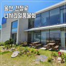 나사리일품물회